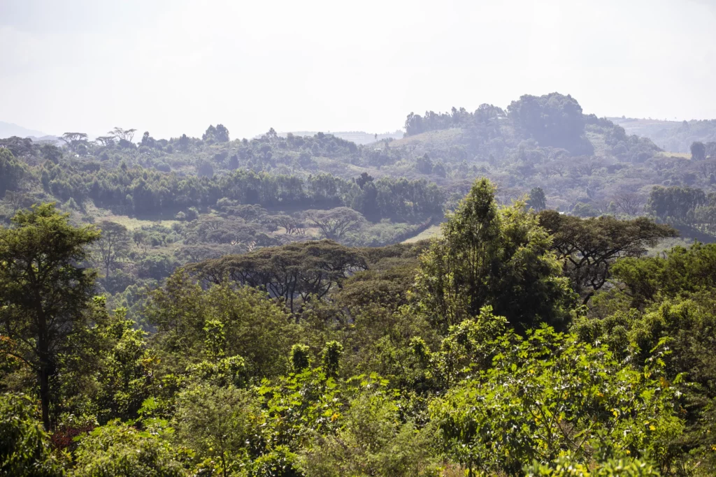 2018.12.05_Goma, Gchiimo,_Khalid-10